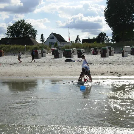 Ostseekrabbe Scharbeutz
